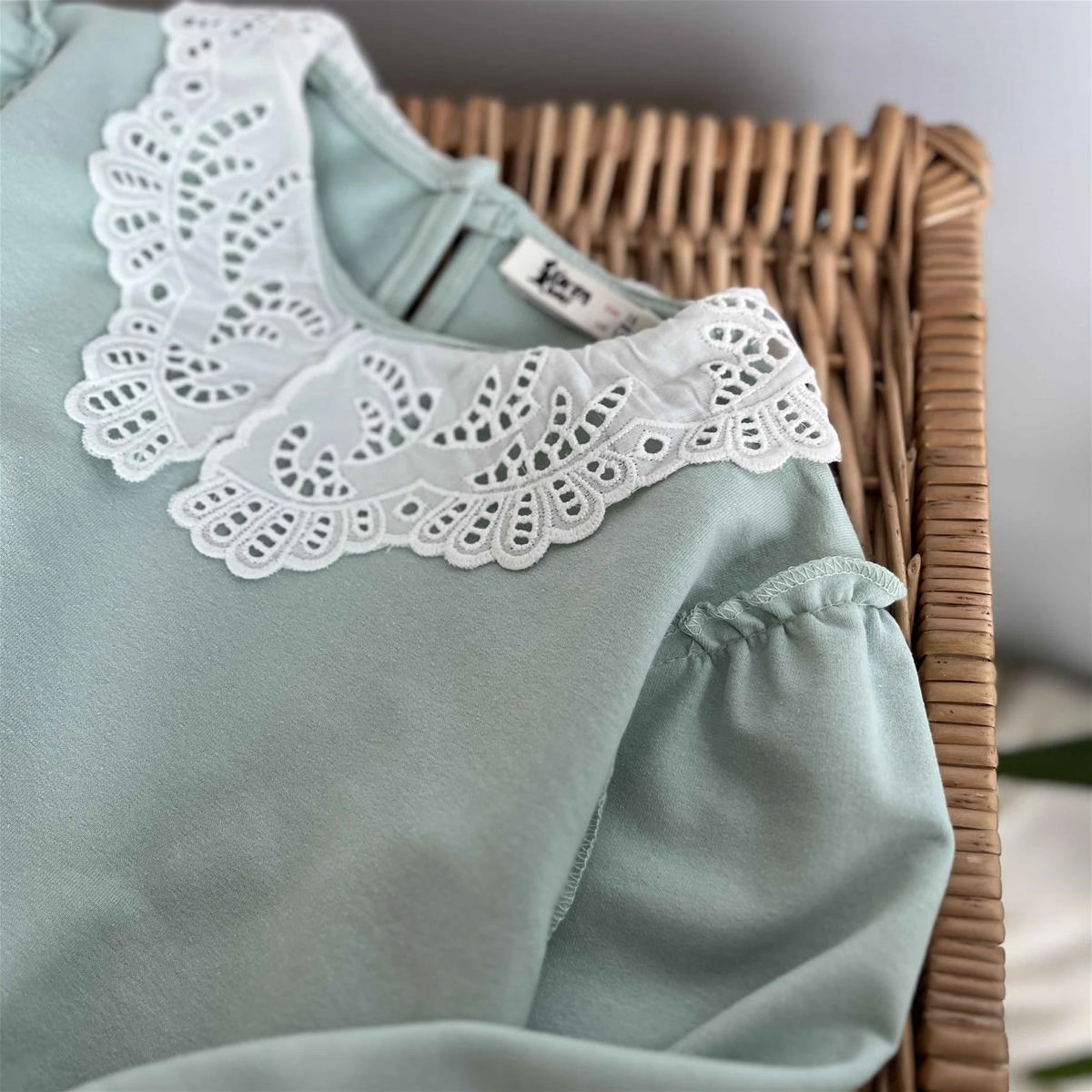 f6295167-96c9-4ada-aabe-6f1866368b5e.jpg