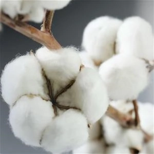 انواع پارچه ها در لباس کودک